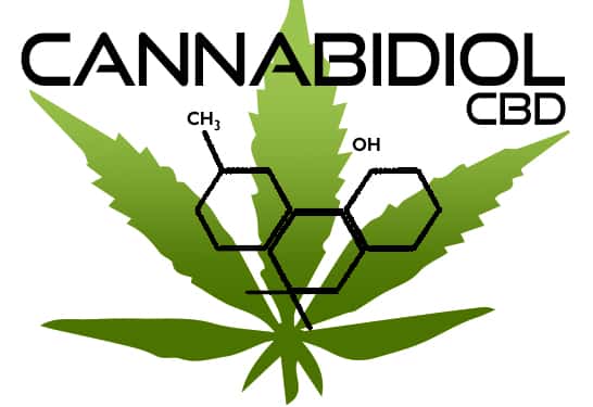 CBD Oil for Epilepsy