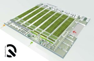 Cannabis Facility Design Consultants