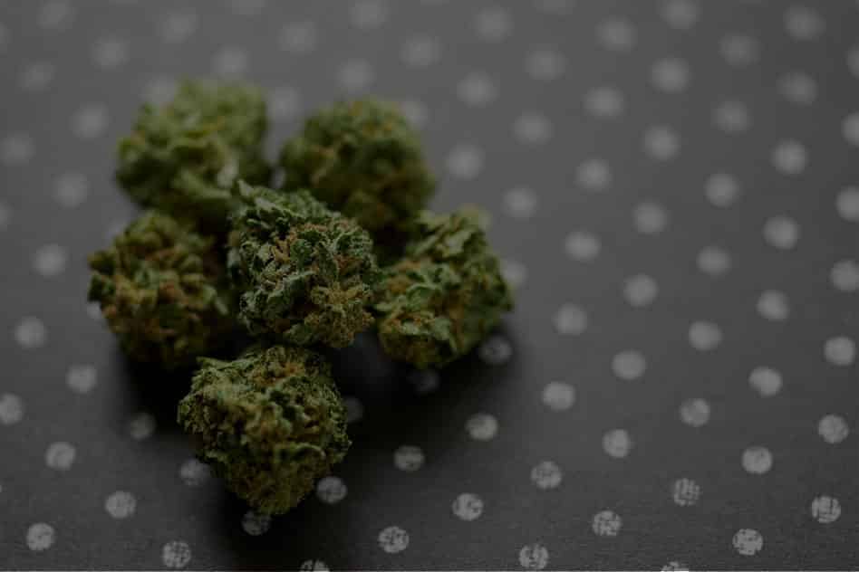 Cannabis-Consultant-Contact