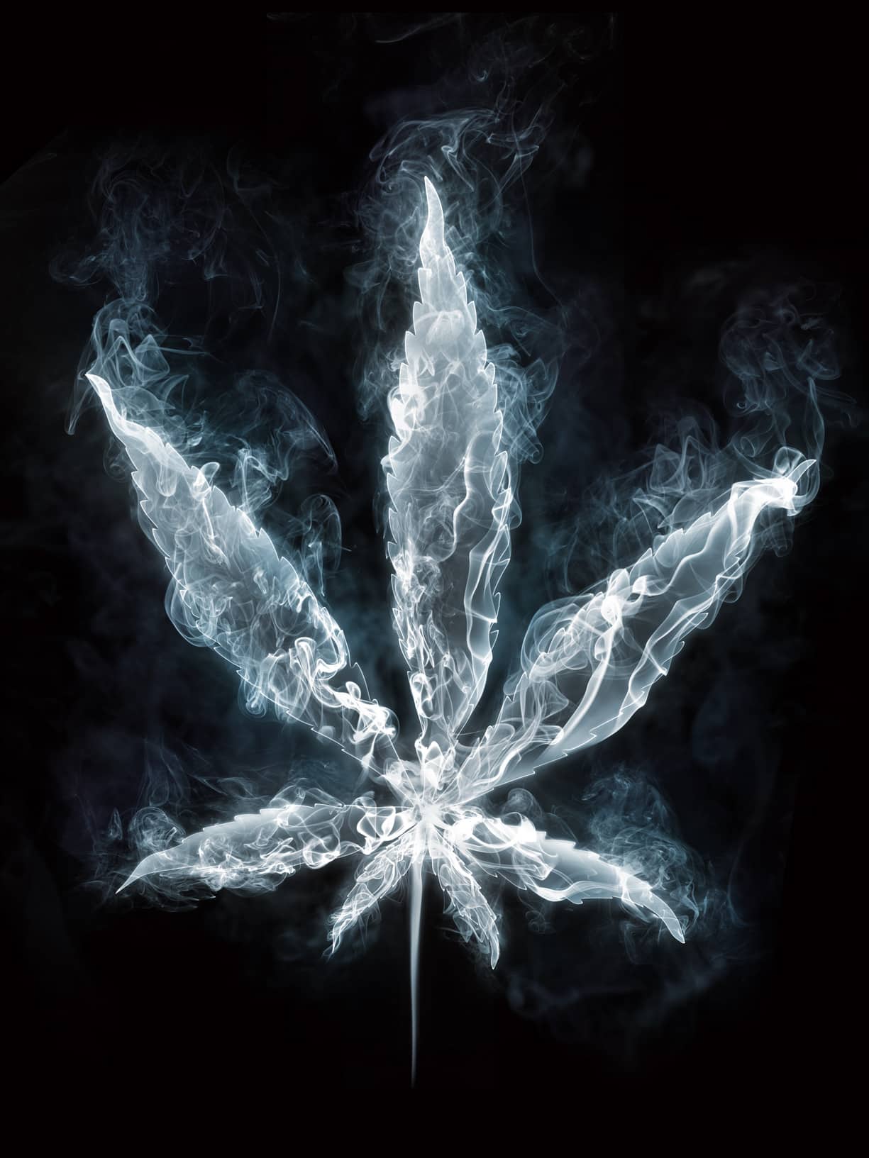 Cannabis-Application-Services-Consulting