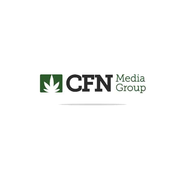 CFN Media Group Piece