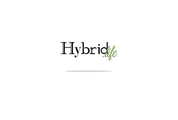 Hybrid Life Marijuana Consultant