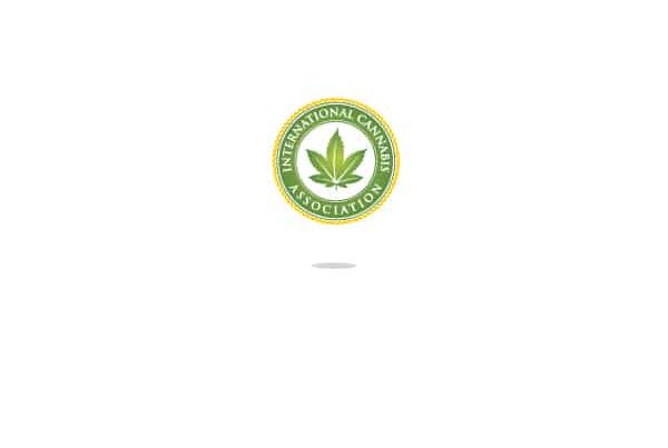 International Cannabis Association Logo Marijuana Consultant