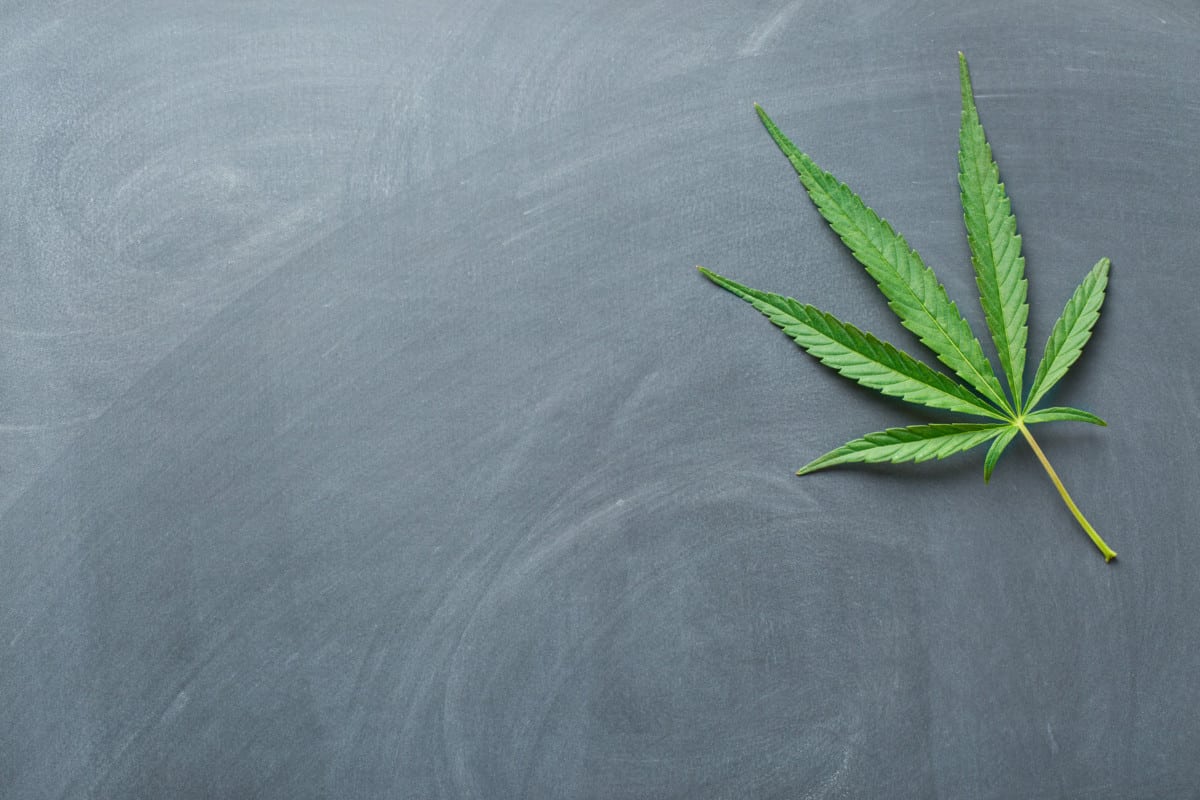 2016 Cannabis Legalization