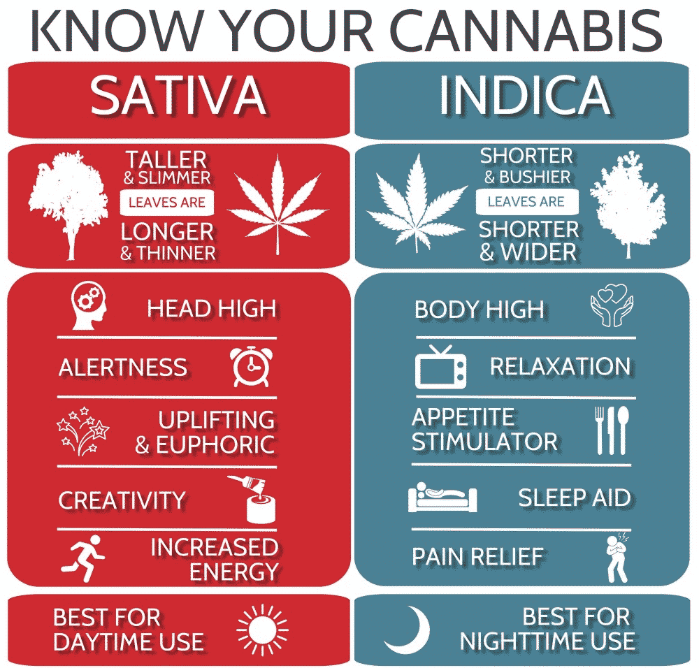 Indica-vs-Sativa.png