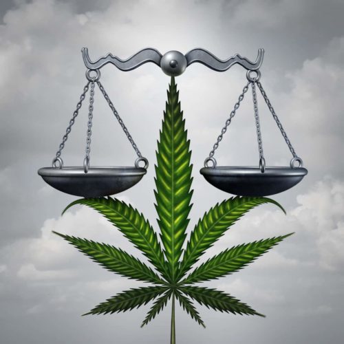 weed legalization