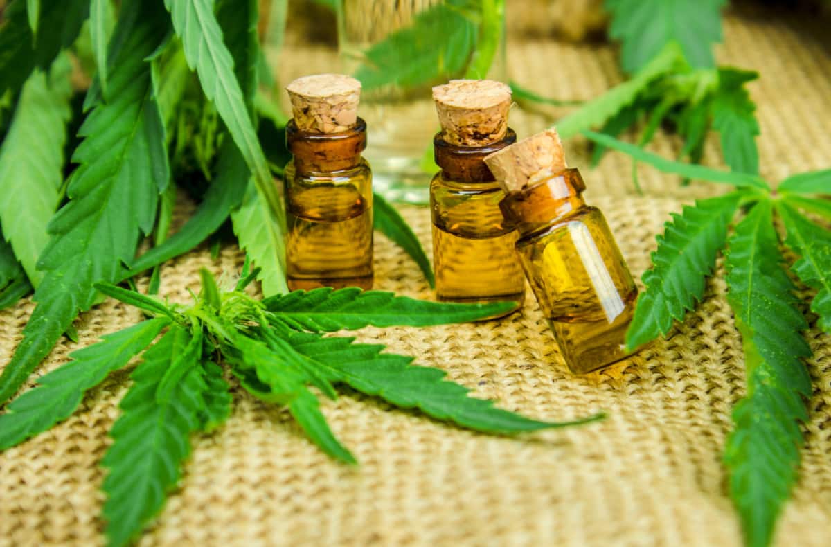 cannabis oil
