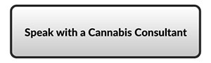 cannabis consulting 