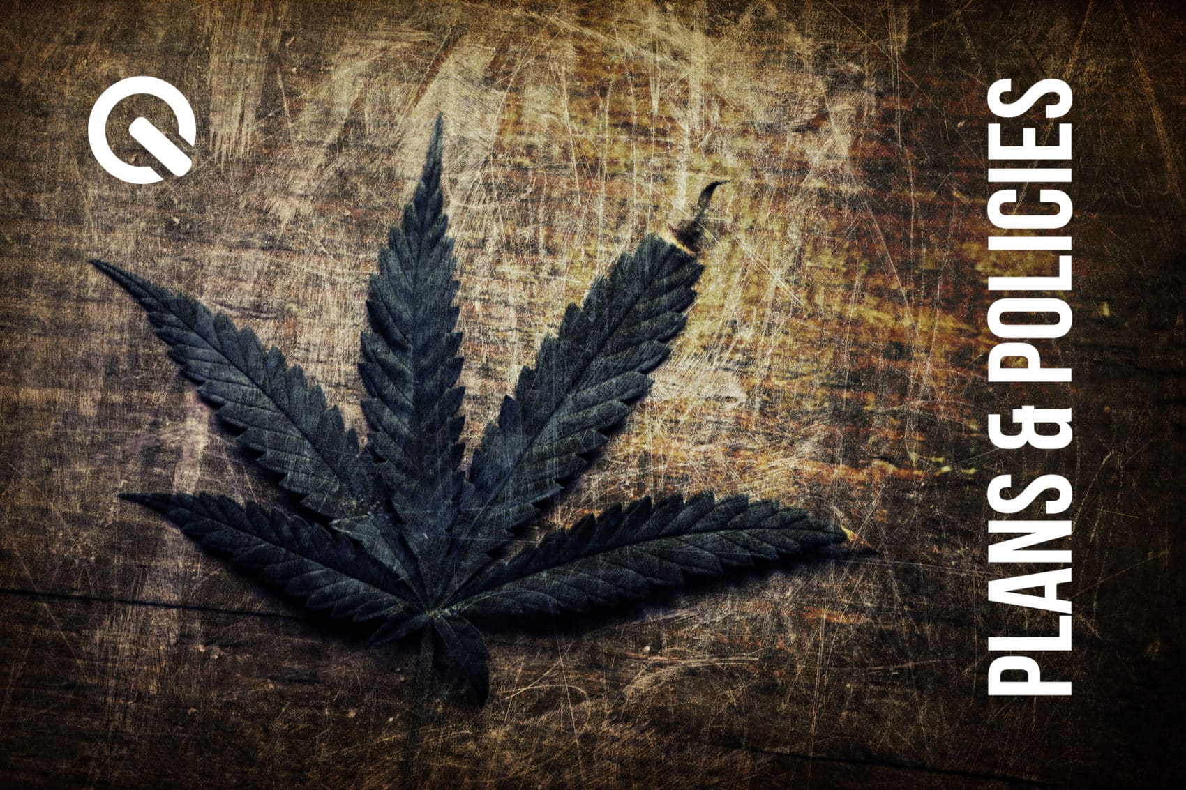 5 Reasons Why you Need Marijuana Consulting in Pennsylvania