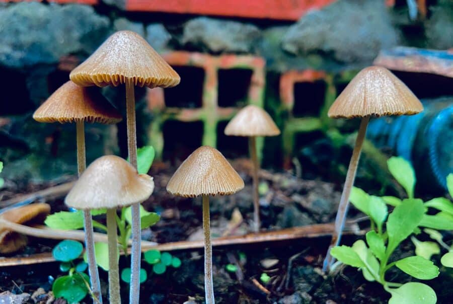 Oregon Category Archives Quantum 9, Inc.