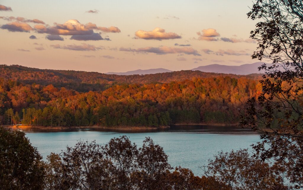 Georgia Cannabis Consultant