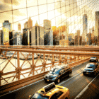 new york microbusiness license