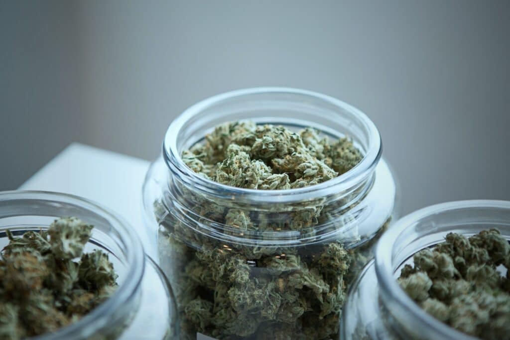 jars of fresh cannabis flower for wholesale in New Jersey