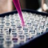 Oregon psilocybin testing laboratory licenses