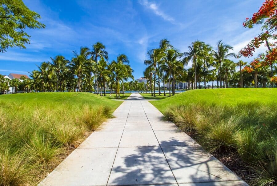 Florida cannabis business for sale