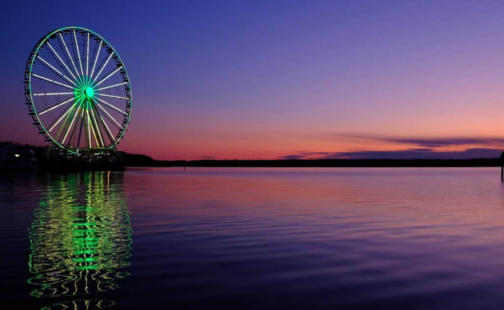 maryland cannabis license applicaiton guide