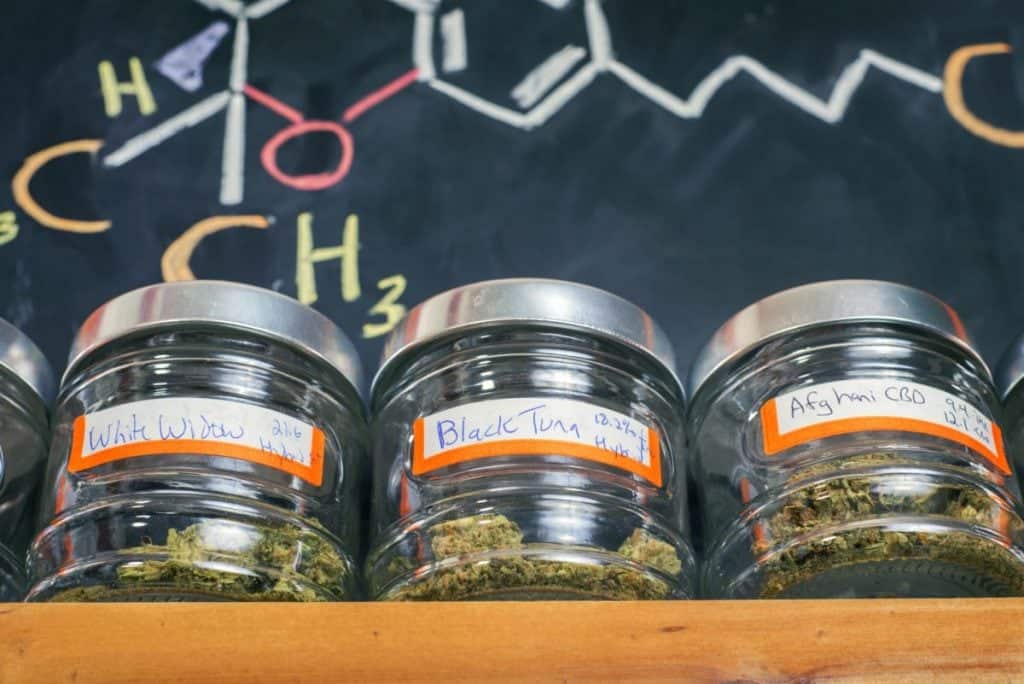 dispensary manager job alabama