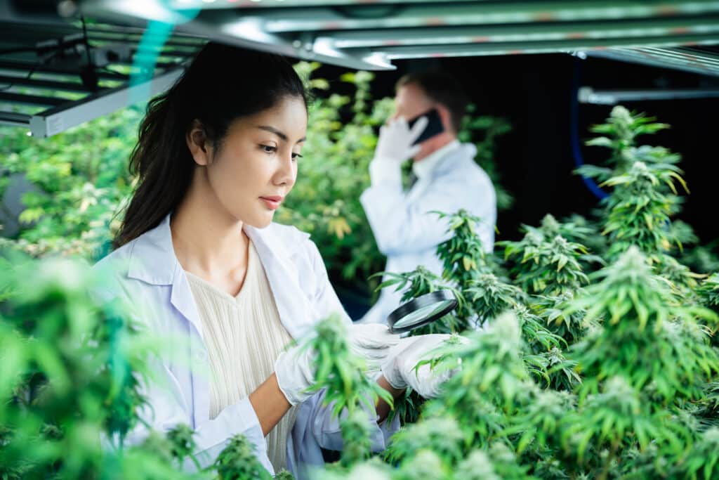 Workers Cooperative Cannabis Retail License in Rhode Island