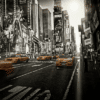 cooperative cannabis license in new york